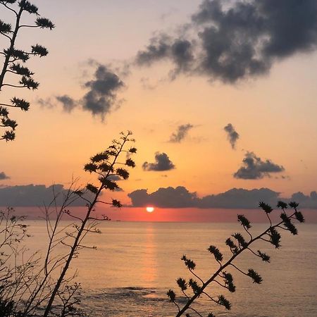 "Suliscenti" Dimora Siciliana B&B Avola Exterior foto